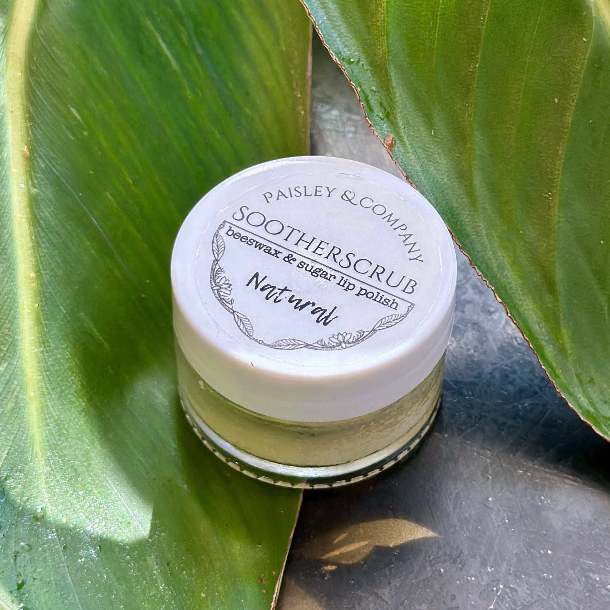 Goat Milk + Oat Facial Moisturizer | PAISLEY & COMPANY